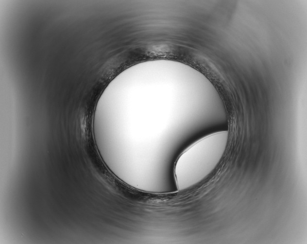 X0000093610408200710151020
