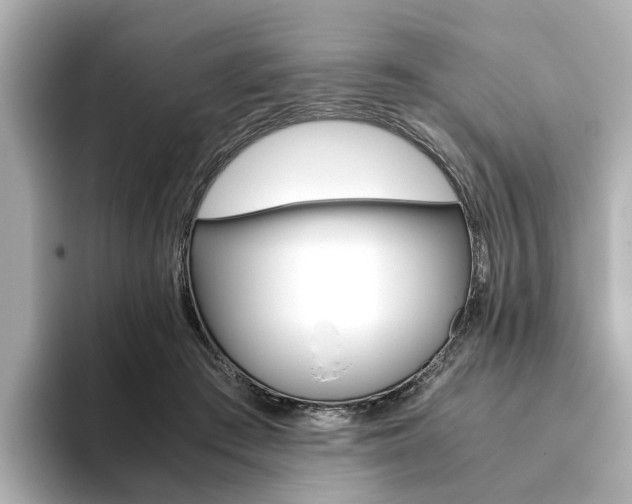 X0000093610409200710151019