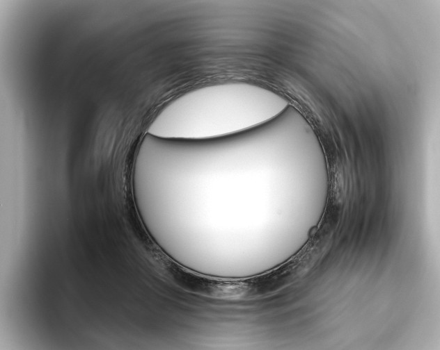 X0000093610410200710151019