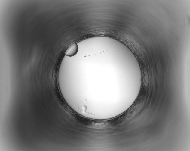 X0000093610414200710151019