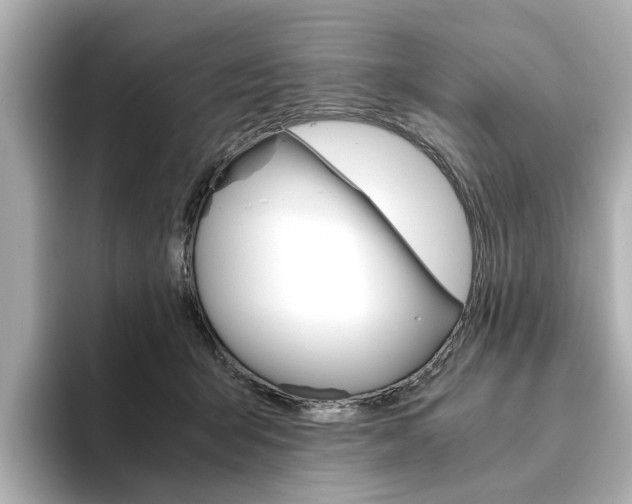 X0000093610415200710151019