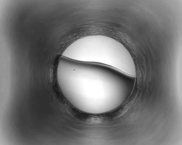 X0000093610416200710151019