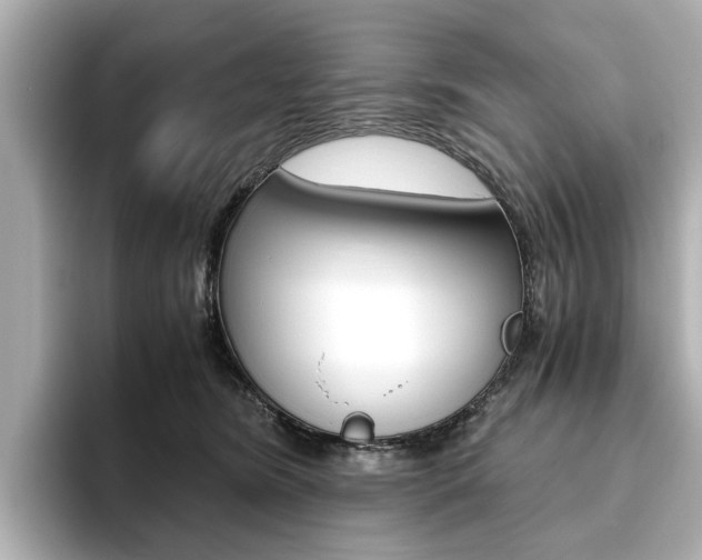 X0000093610420200710151019