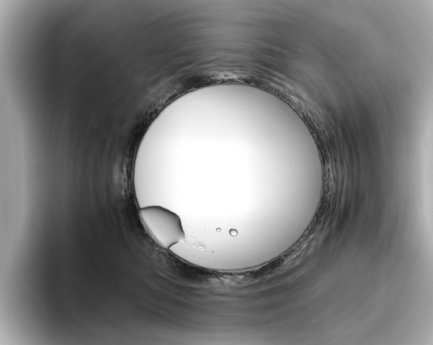 X0000093610422200710151019