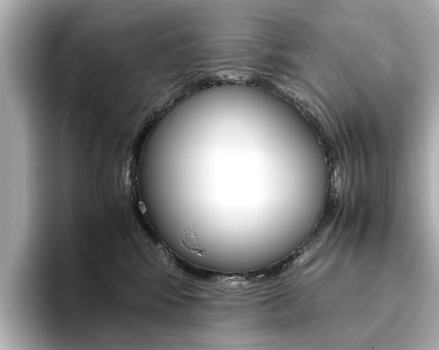 X0000093610424200710151019