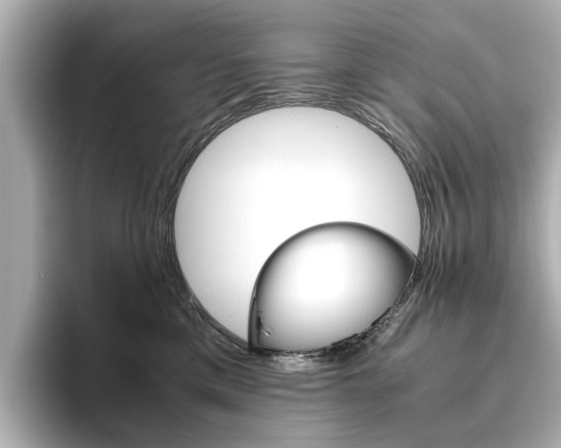X0000093610425200710151019