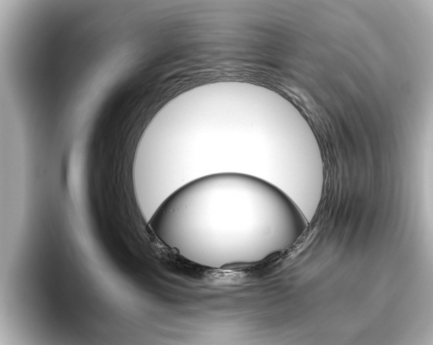 X0000093610429200710151019