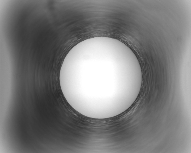 X0000093610432200710151019