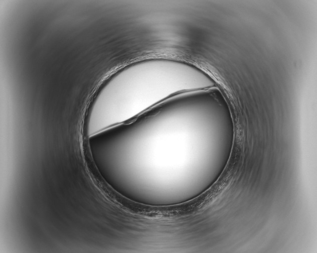 X0000093610434200710151019