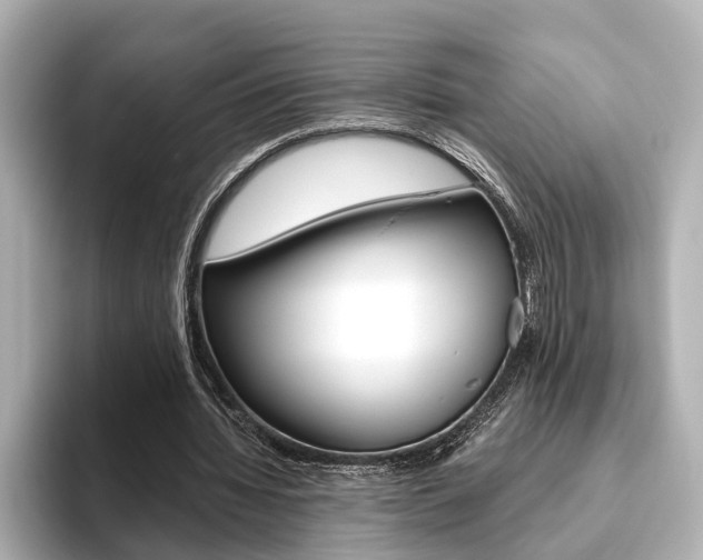 X0000093610436200710151019