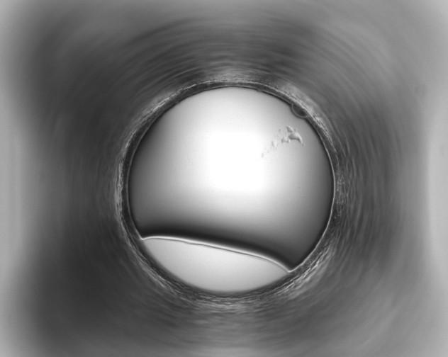 X0000093610437200710151019
