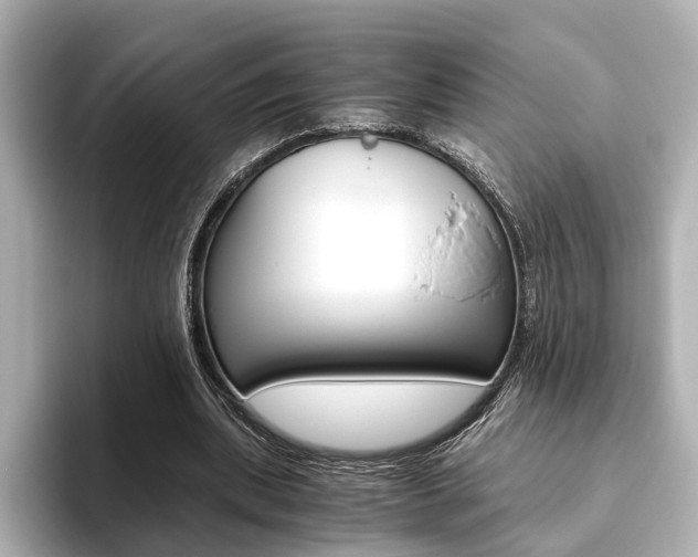X0000093610439200710151019