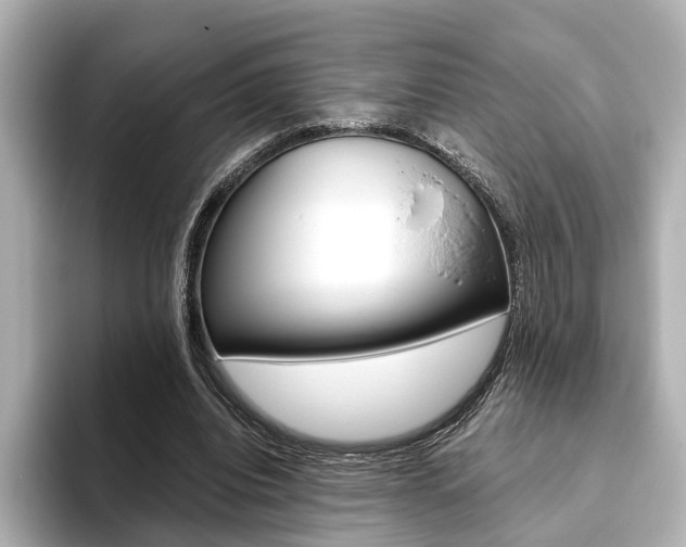 X0000093610440200710151019