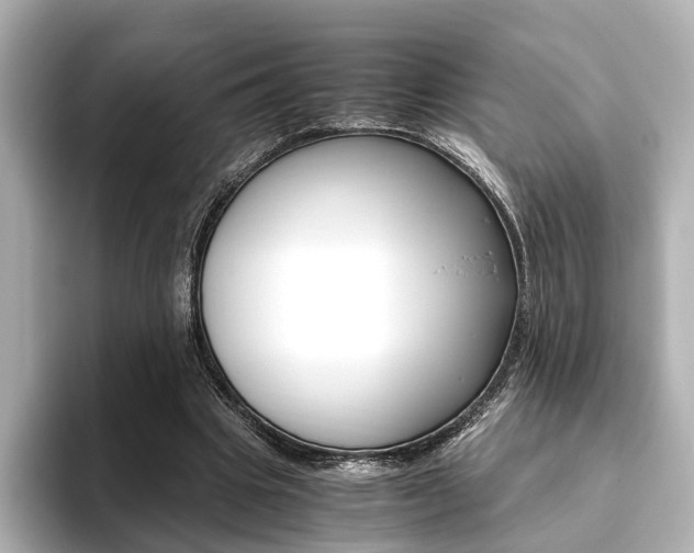 X0000093610441200710151019