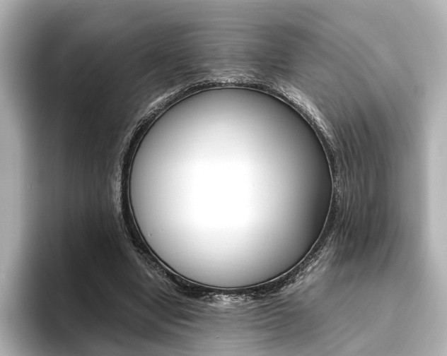 X0000093610442200710151019