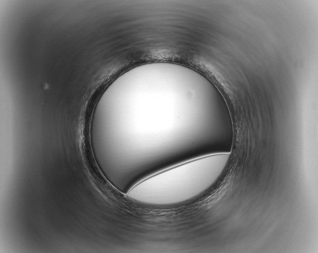 X0000093610443200710151019