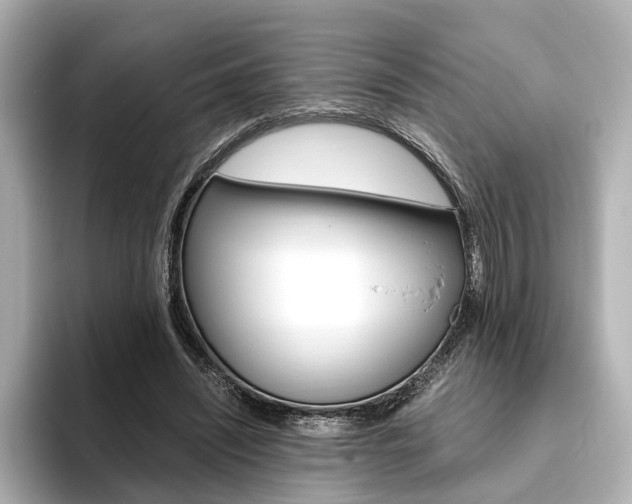 X0000093610444200710151019
