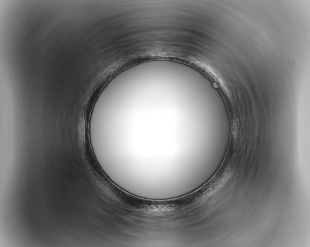 X0000093610445200710151019