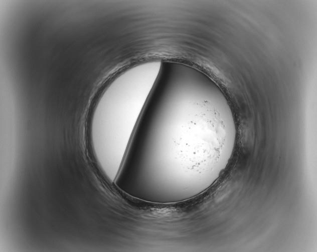 X0000093610446200710151019
