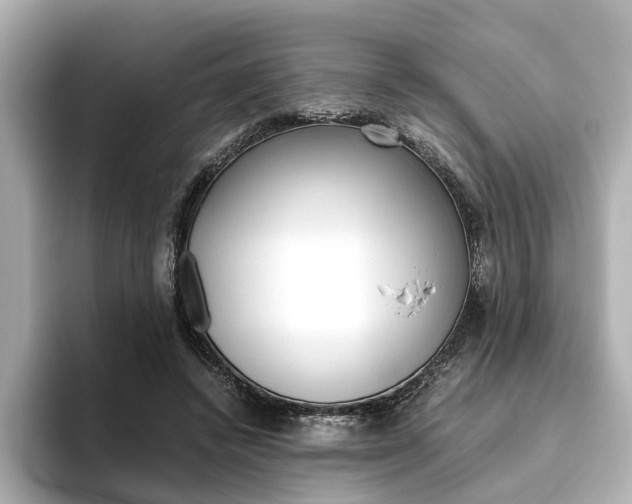 X0000093610448200710151019