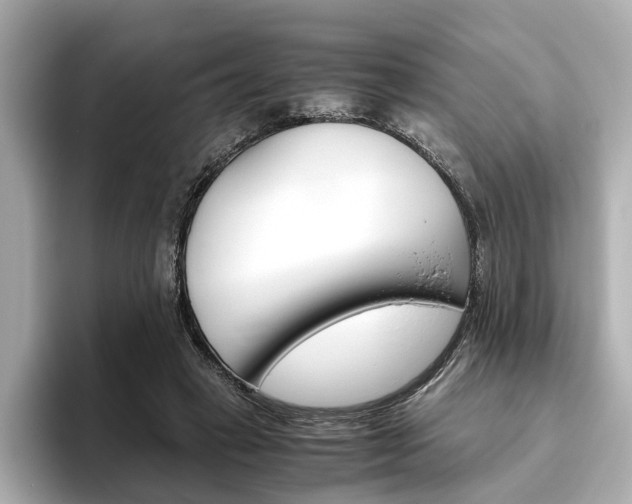 X0000093610449200710151019