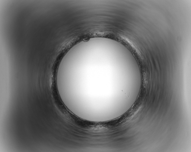 X0000093610451200710151019