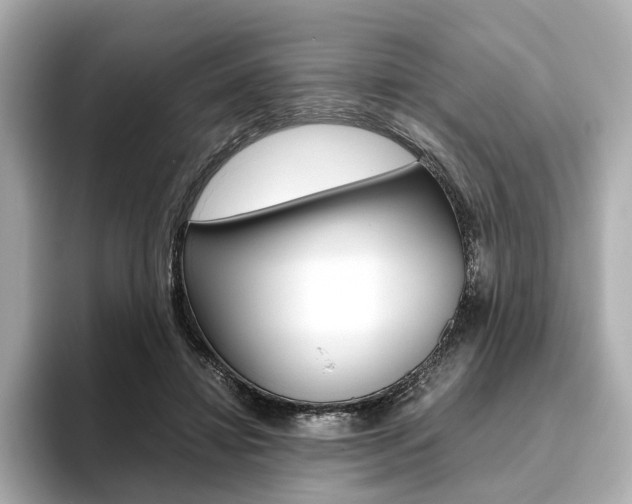 X0000093610452200710151019