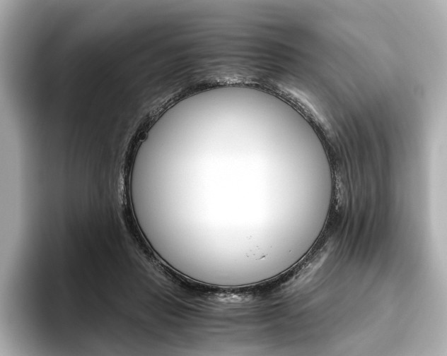 X0000093610453200710151019