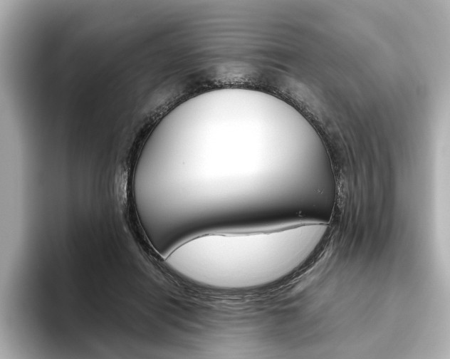 X0000093610454200710151019
