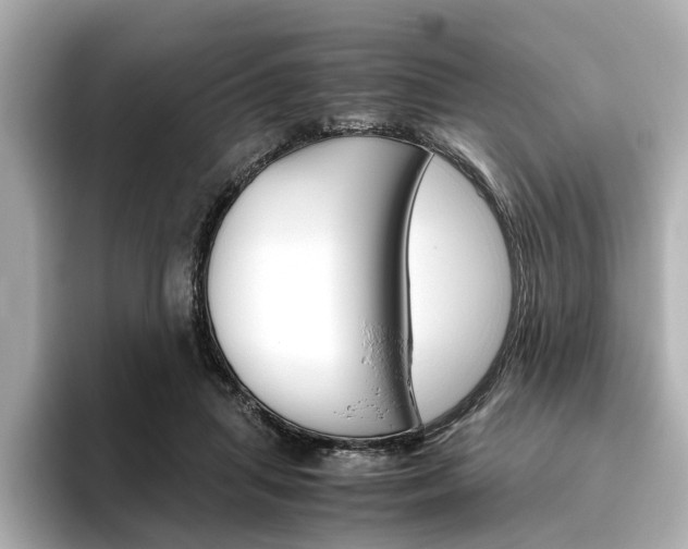 X0000093610455200710151019