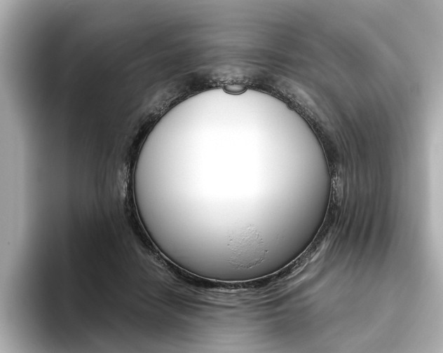 X0000093610458200710151019