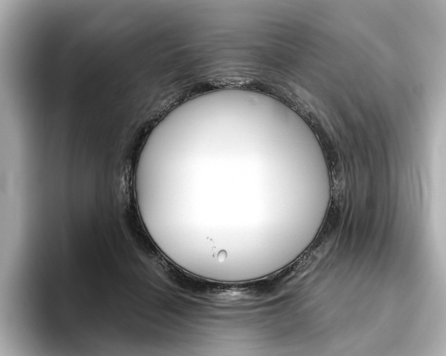 X0000093610460200710151019