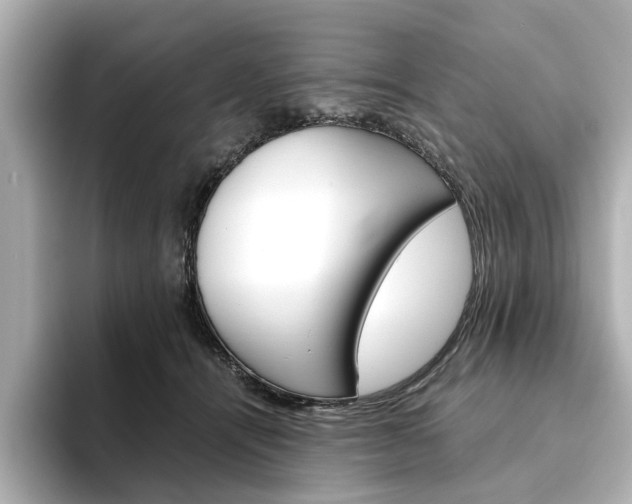 X0000093610464200710151019