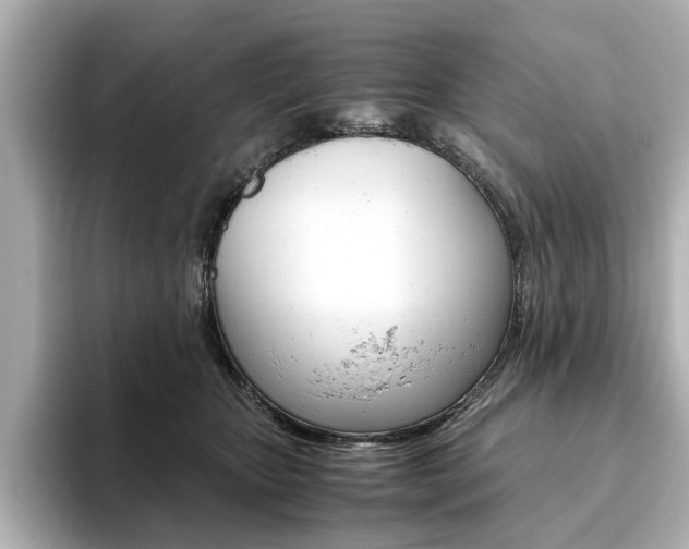 X0000093610467200710151019