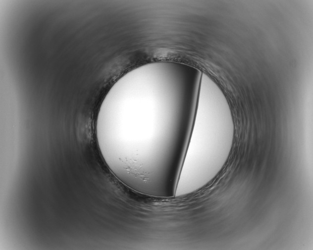 X0000093610470200710151019