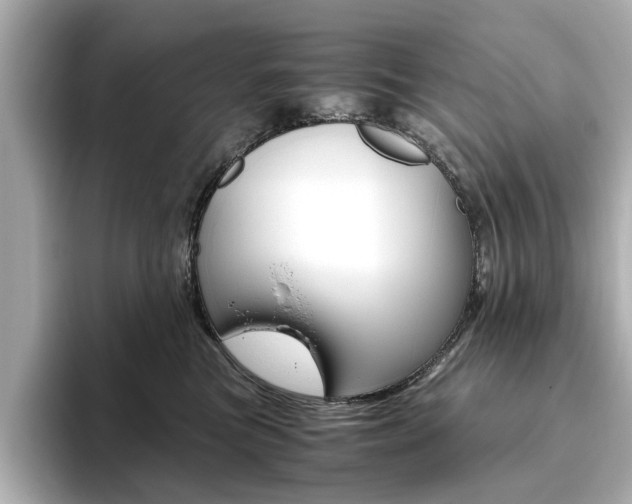 X0000093610473200710151019