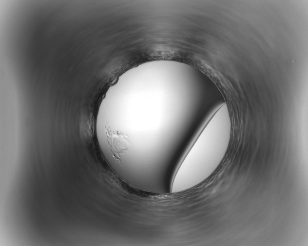 X0000093610474200710151019
