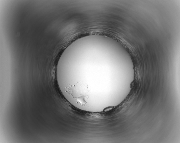 X0000093610475200710151019
