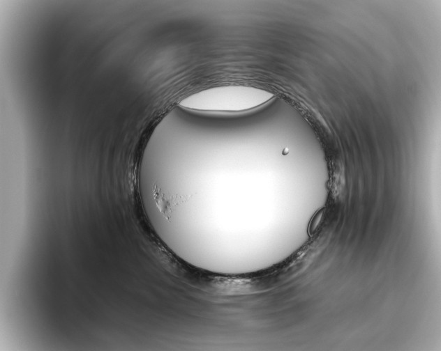X0000093610476200710151019