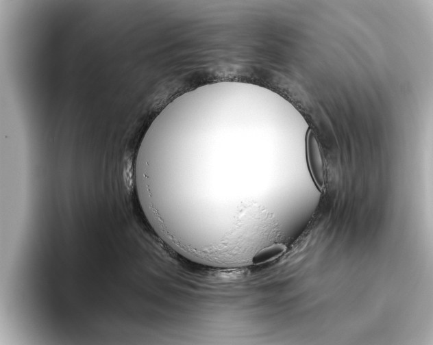 X0000093610479200710151019