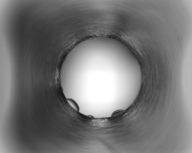 X0000093610480200710151019