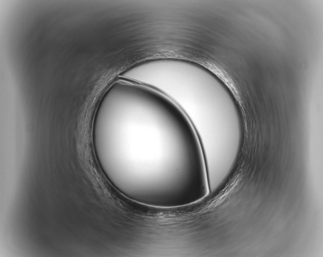 X0000093610481200710151019