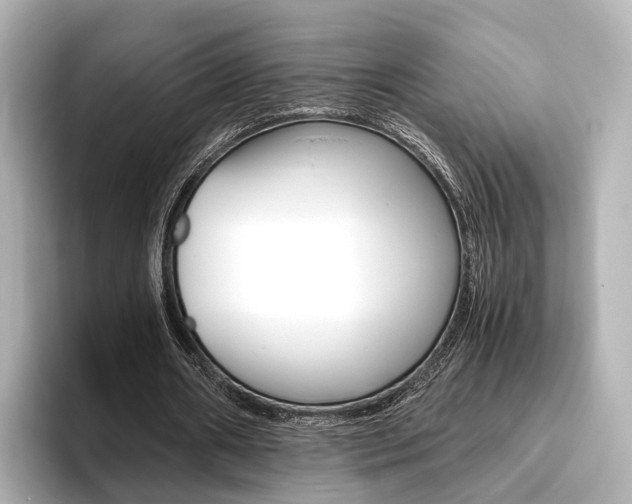 X0000093610482200710151019
