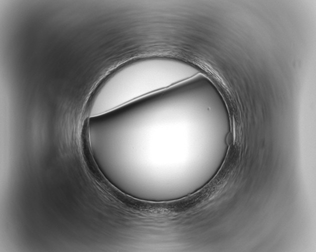 X0000093610483200710151019
