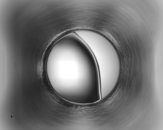 X0000093610484200710151019
