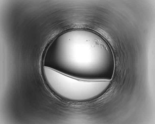 X0000093610485200710151019