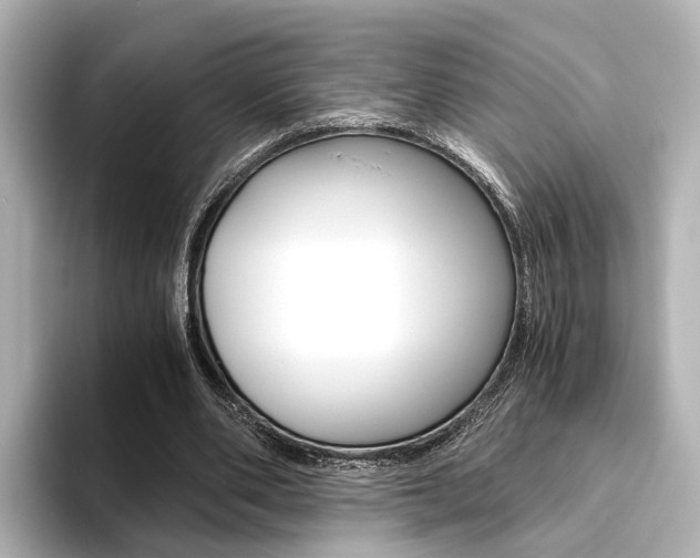 X0000093610486200710151019