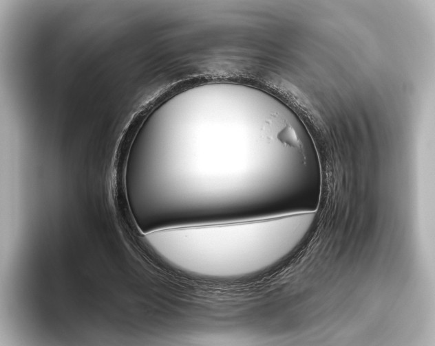 X0000093610488200710151018