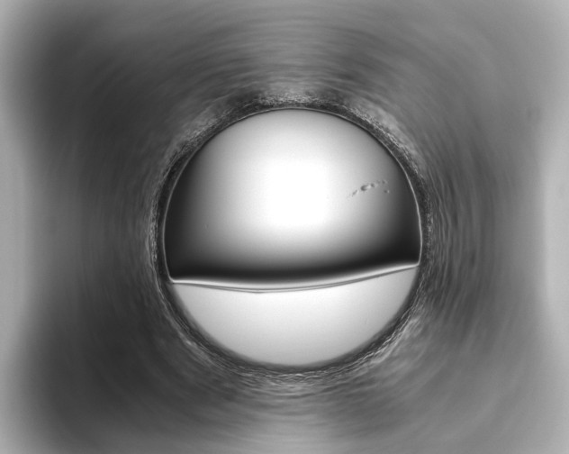 X0000093610489200710151018