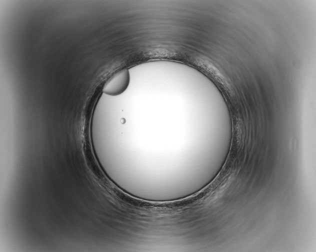 X0000093610490200710151018